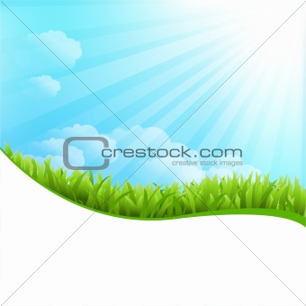Illustration Of Summer Grass