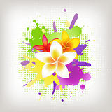 Background With Plumeria And Blots