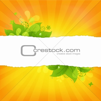 Natural Background With Leaves And Beams