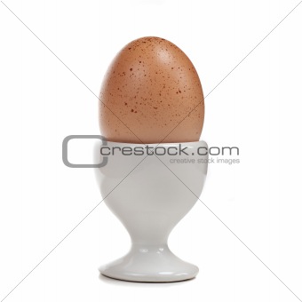 Organic Free-Range Egg