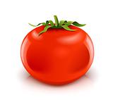 red ripe tomato