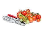 Tomatoes and Secateurs