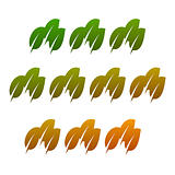 leaf design element