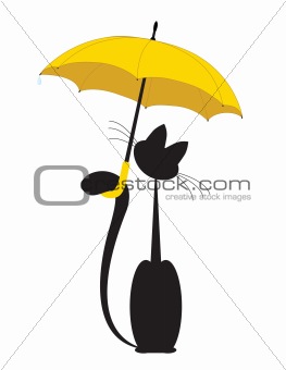 Cat in umbrella