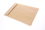 Brown Envelope document