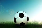 soccer ball in grass