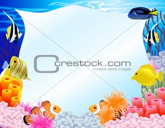 Sea life