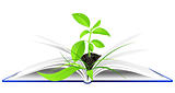 open book with young green plant