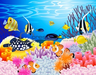 Sea life background
