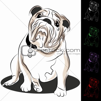 Bulldog Drawing Set
