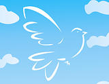 Vector illustration of flying dove