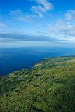 Aerial Maui landscape.