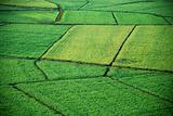 Aerial of crop fields.