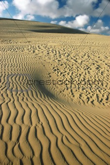 Desert, dune, sand graphic.