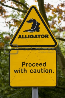 Alligator!!