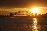 Sydney Harbor Bridge Gold Sunset