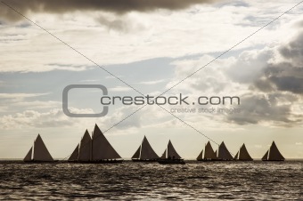 Sailing boats 10