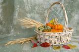 Harvest and Basket