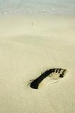 Footprint on A Beach