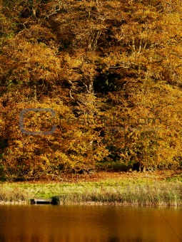 Jetty on an autumn lake