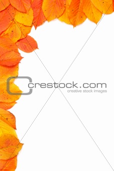 Colorful autumn corner