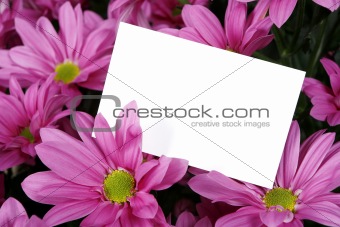 gift-card and flowers