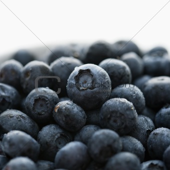 Group of blueberries.