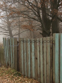 scene with fence
