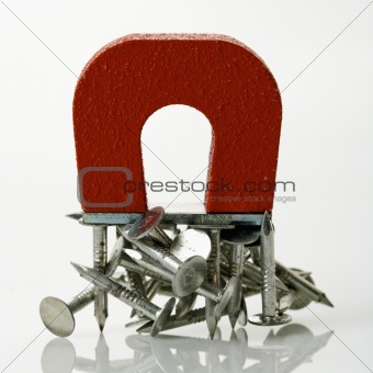 Image 418754: Magnet with nails. from Crestock Stock Photos