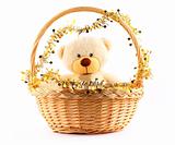 white teddy bear in a basket