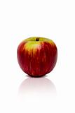 Red Apple Isolated