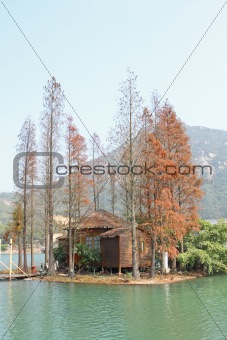 wood house on water