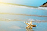 Starfish on the beach. Summer time 