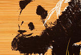 panda paint