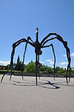 Giant Spider in Ottawa