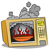 Food Burning In Microwave Oven