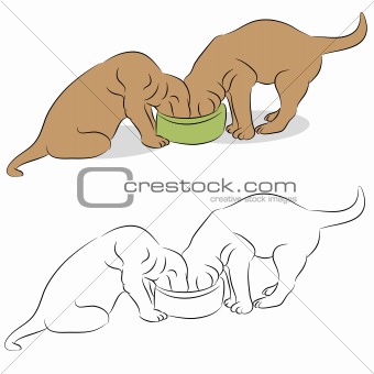 Two Labrador Puppies Eating From A Dog Bowl