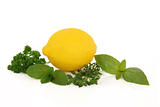 Lemon Fruit and Herbs