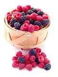 Basket of Fresh Raspberries and Blueberries