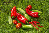 red and green vegetables on the grass