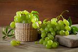fresh green grape