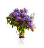 Vibrant bouquet of a lilac
