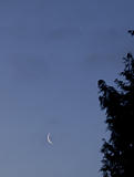 Crescent Moon and Venus