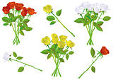 Colorful rose bouquet vector illustration set.