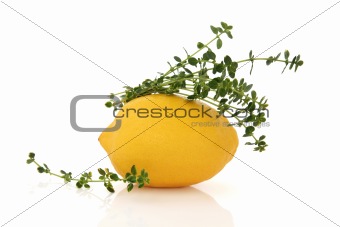 Lemon Fruit and Thyme Herb