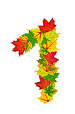 Autumn maple Leaves in the shape of number One
