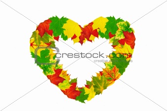 Heart Shape Made By Maple Autumn Leaves