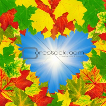 heart shape autumn leaves frame