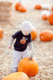 toddler and pumpkin