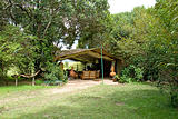 Safari Tent lounge on Masai Mara